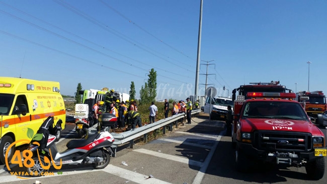 3amel masra3a (2).jpg